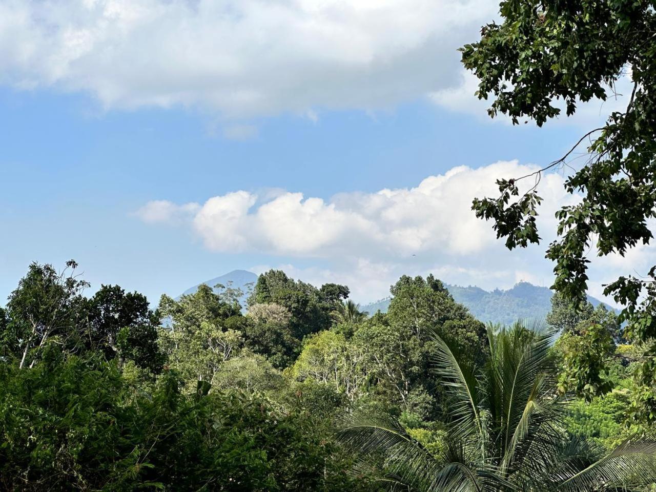 La Riya Ella - 05 Minutes To Ella Town Bed & Breakfast Luaran gambar